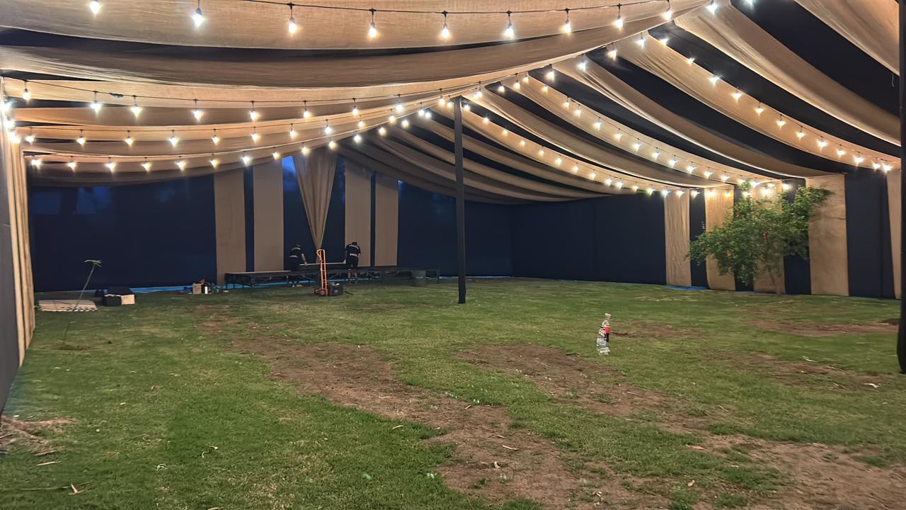 Carpa Gala Starry Night